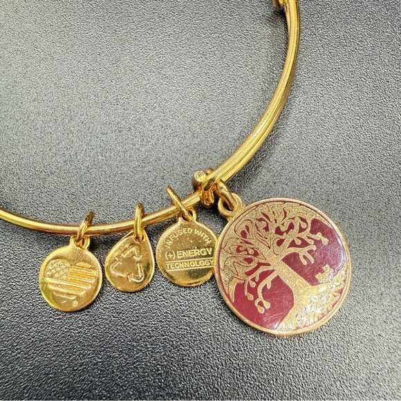 Alex and Ani Tree of Life 2015 Charm Bangle Bracelet - Picture 9 of 9